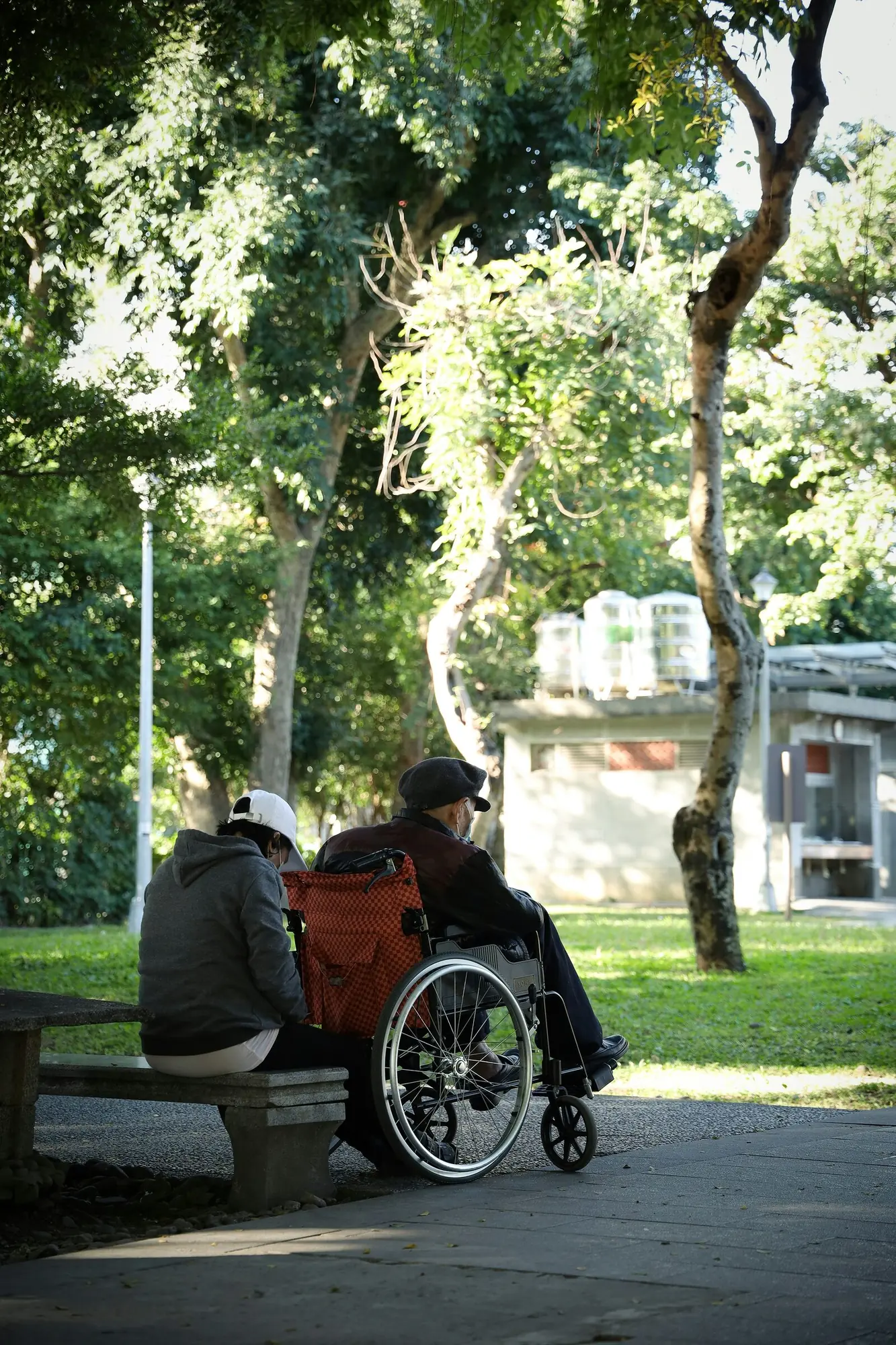 An older man in a wheelchair sits beside a companion on a shaded park bench
