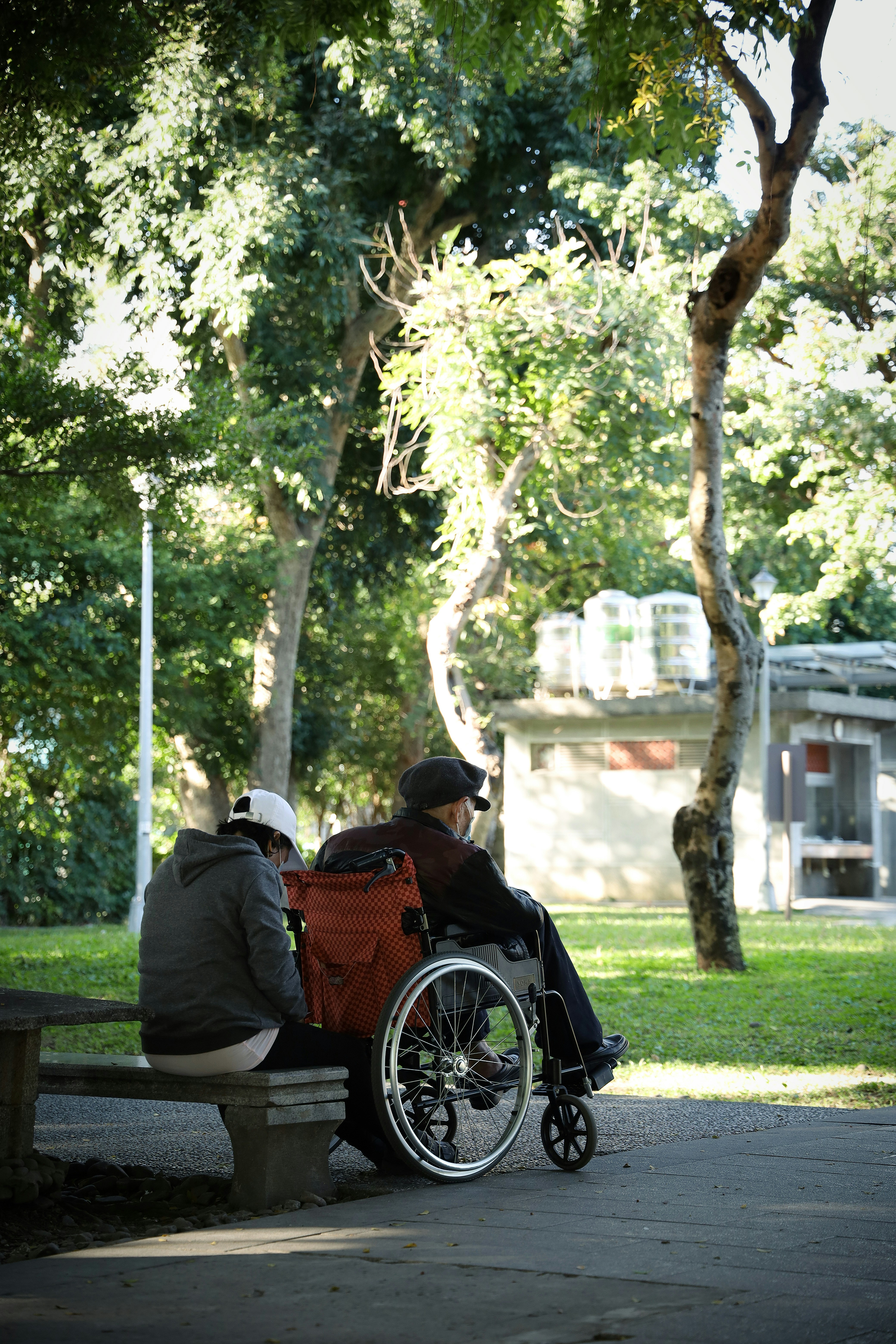 NDIS services in Brisbane - Man in wheelchair enjoying outdoor community space